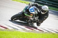 Advanced Group Silver_Grey Bikes